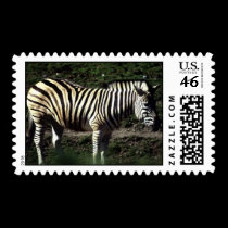 wild animals 112 postage by MickeyElvis wild animals 112 postage