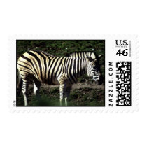 wild animals 112 postage