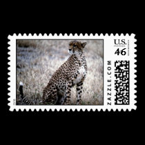 wild animals 141 postage by MickeyElvis wild animals 141 postage