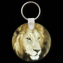 wild animals 144 keychains by MickeyElvis wild animals 144 keychains