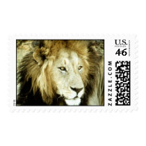 wild animals 144 stamps