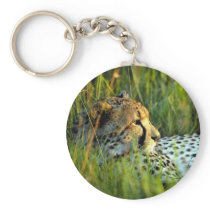 wild animals 158 keychains