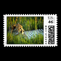 wild animals 158 postage by MickeyElvis wild animals 158 postage