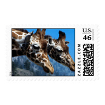 wild animals 189 postage