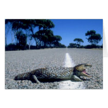 Wild Animals 18 cards