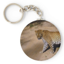 wild animals 23 keychains