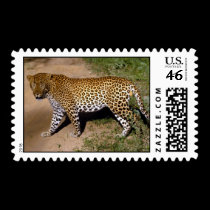 wild animals 23 postage by MickeyElvis wild animals 23 postage