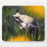 Wild Animals 26 Mouse Pads