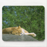 Wild Animals 27 Mouse Pad