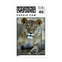wild animals 289 postage