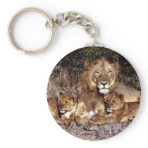 wild animals 296 keychains