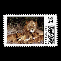 wild animals 296 postage by MickeyElvis wild animals 296 postage