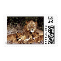 wild animals 296 postage