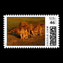 wild animals 299 postage by MickeyElvis wild animals 299 postage