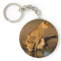 wild animals 300 keychains