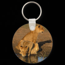 wild animals 300 keychains by MickeyElvis wild animals 300 keychains