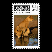 wild animals 300 postage by MickeyElvis wild animals 300 postage
