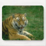 Wild Animals 37 Mouse Mat