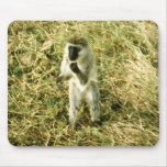 Wild Animals 59 Mouse Mats