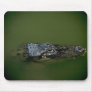 Wild Animals 61 Mouse Pads