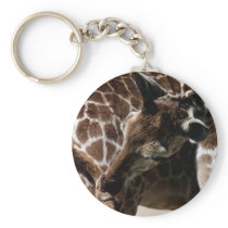 wild animals 72 keychains
