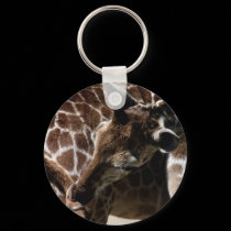 wild animals 72 keychains by MickeyElvis wild animals 72 keychains