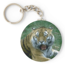 wild animals 83 keychains