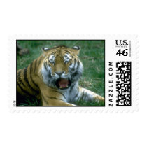 wild animals 83 stamps