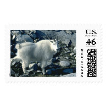 Wild Animals 86 Stamp