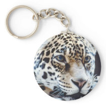 wild animals 88 keychains