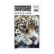 wild animals 88 stamps