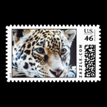 wild animals 88 postage by MickeyElvis wild animals 88 postage
