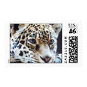 wild animals 88 stamp