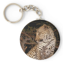 wild animals 89 keychains