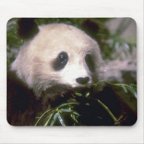 Wild Animals 89 mousepads by mickeyelvis128 Wild Animals 89 mousepads