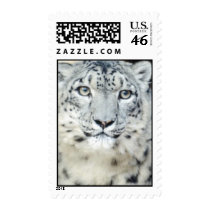 wild animals 90 postage