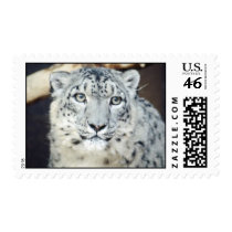wild animals 90 postage