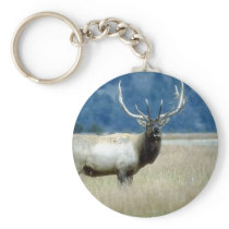 wild animals 93 keychains