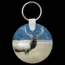wild animals 93 keychains by MickeyElvis wild animals 93 keychains