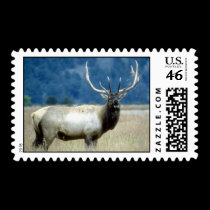 wild animals 93 postage by MickeyElvis wild animals 93 postage
