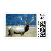 wild animals 93 postage