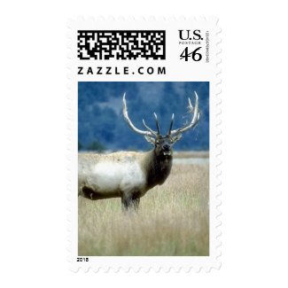 Wild Animals 93a stamp