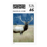 Wild Animals 93a stamps