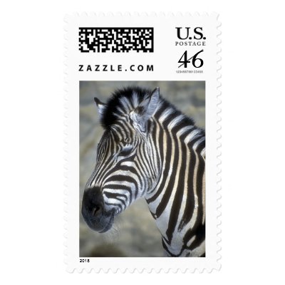 Wild Animals 95 by mickeyelvis128