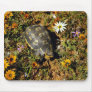 Wild Animals 97 Mouse Pad