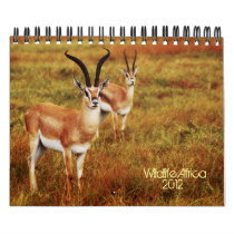 Wild animals Africa safari 2012 Wall Calendar
