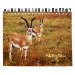 Wild animals Africa safari 2012 Wall Calendar