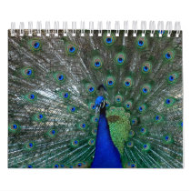 Wild Animals Calendar