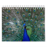 Wild Animals Calendar