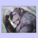 Wild Animals Calender 2012 calendars